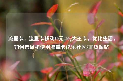 流量卡，流量卡移动19元200g大王卡，优化生活，如何选择和使用流量卡亿乐社区SUP货源站  第1张